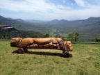 View platypus carving