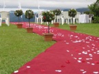 Wedding aisle with trees